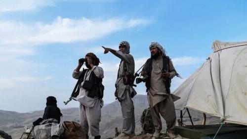  کابل به طالبان پیشنهاد تقسیم قدرت در ازای توقف خشونت را داد