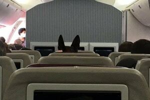  نشاندن سگ آمریکایی روی صندلی در پرواز جنجالی +عکس