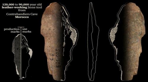 کشفی جالب درباره تاریخچه لباس انسان‌ های اولیه