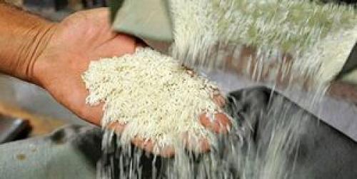  واردات ۷۱۵ هزارتن برنج در ۶ ماه امسال