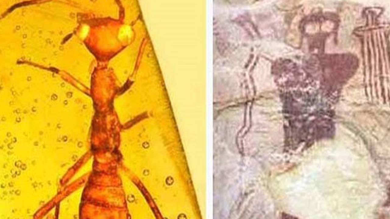 حقایقی درباره مردمان مورچه‌ای؛ باور عجیب تمدن‌های باستانی