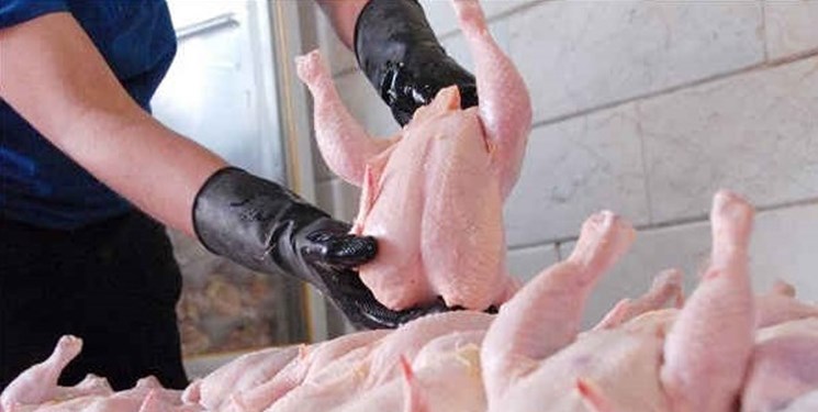 مرغ کماکان در میادین کیلویی 25 هزار تومان