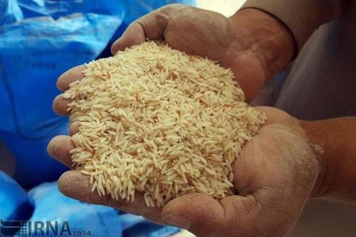عرضه برنج وارداتی با نرخ مصوب 