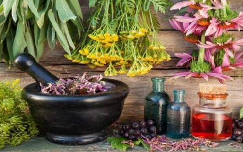 ترکیبات جادویی گیاهان برای سلامت بدن
