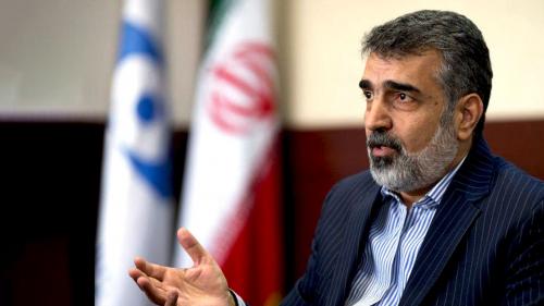  کمالوندی: غرب چاره‌ای جز تعامل با ایران ندارد