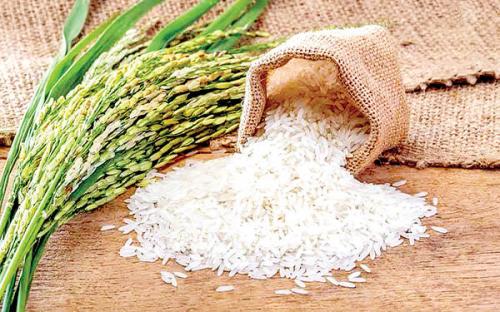  فروش برنج ایرانی تا ۵۴هزار تومان