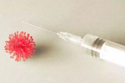 تولید واکسن‌ جدید برای کرونای امیکرون 
