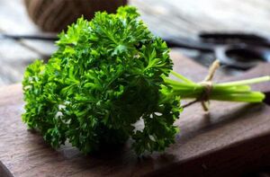  خواص سبزی خوش‌بو برای سلامت کلیه‌ها