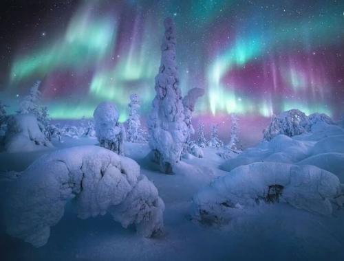  برترین تصاویر از شفق قطبی