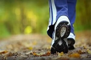  فواید پیاده‌روی در عملکرد بدن