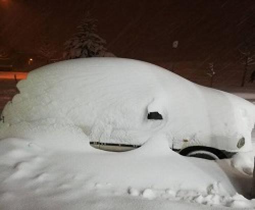 عکس/ استتار زمستانی یک خودرو