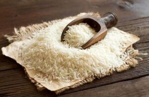 یکی از معروف‌ترین برنج‌های ایران چگونه شناسایی شد؟