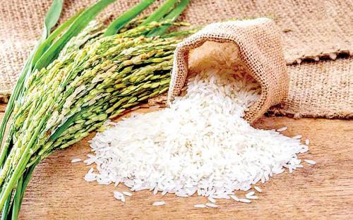 جزئیات عرضه اینترنتی برنج اعلام شد