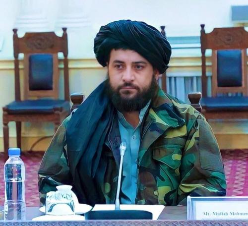 طالبان اظهارات نخست وزیر پاکستان مبنی بر حضور گروه های تروریستی در افغانستان را رد کرد 