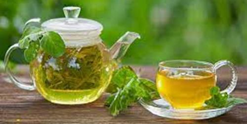 چرا باید «چای سبز» بخوریم؟