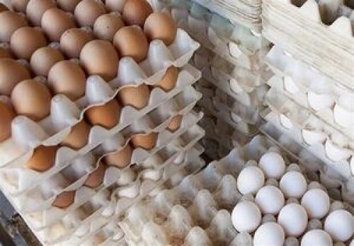 تخم مرغ دانه‌ای چند؟