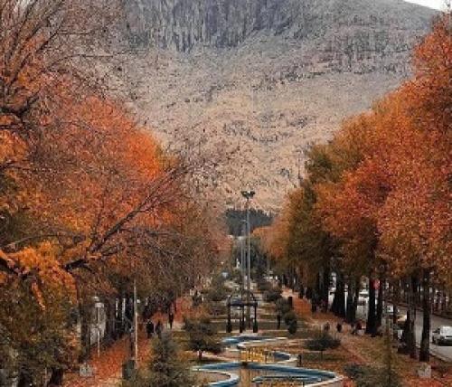 عکس/ طولانی‌ترین بلوار جنگلی ایران