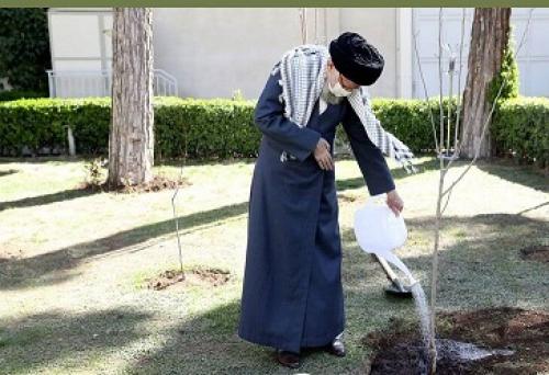 کاشت نهال به مناسبت روز درختکاری توسط رهبرانقلاب