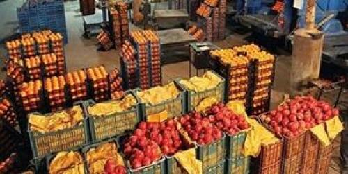  ۵ هزارتن میوه و ۱۴ هزارتن مرغ برای شب عید تهران ذخیره‌ شد