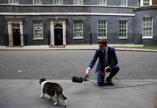 عکس/ مصاحبه با گربه نخست وزیری!