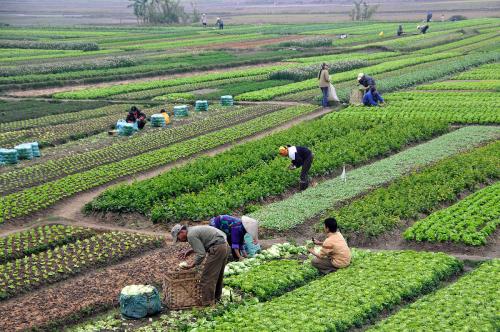  پیش‌بینی هولناک درباره کشاورزی در ایران