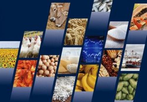  رتبه ۴۳ ایران در واردات غذا در جهان