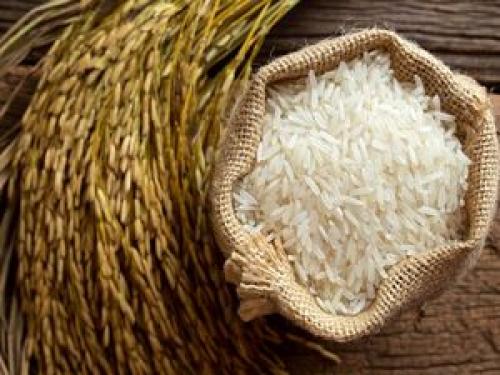  قیمت برنج خارجی آزاد و رقابتی می‌شود