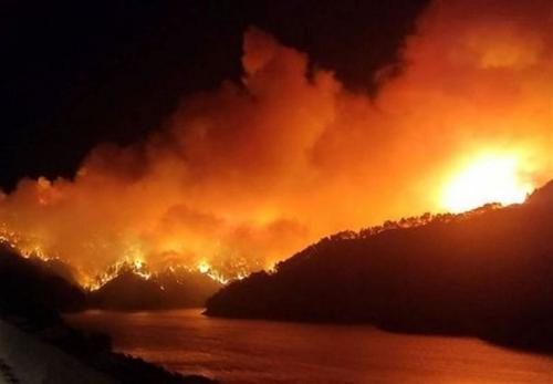  تصاویر جدید از آتش سوزی در جنگل‌ ترکیه