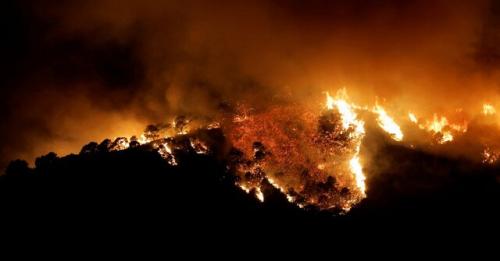  فیلم/ آتش سوزی مهیب در جنگل های اسپانیا
