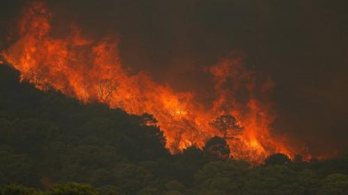 آتش‌سوزی در جنگل‌های اروپا 