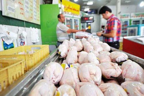  قیمت مرغ چقدر کاهش یافت؟