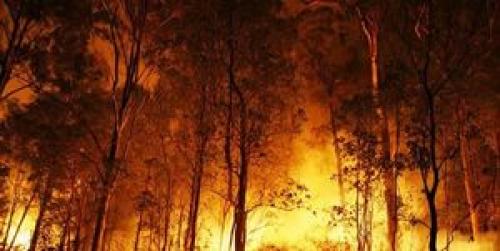  ناتوانی آتش‌نشانان فرانسه در مهار آتش سوزی جنگلی در جنوب فرانسه