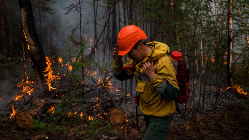  وقوع آتش‌سوزی‌های گسترده جنگلی در روسیه+ فیلم