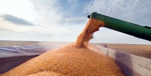  خبر بد روس‌ها برای بازار جهانی گندم و غلات