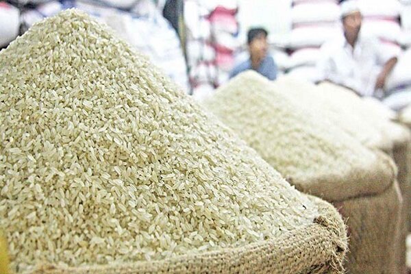 قیمت خریدتضمینی برنج هفته آینده اعلام می شود