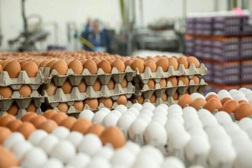 قیمت تخم مرغ در میادین تره بار اعلام شد