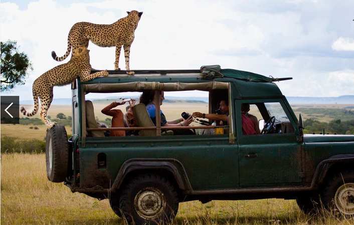  تصویری زیبا از حیات وحش کنیا