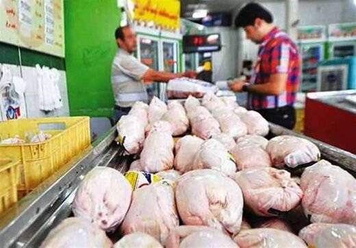  کاهش ۲۰ تا ۳۰ درصدی تولید مرغ