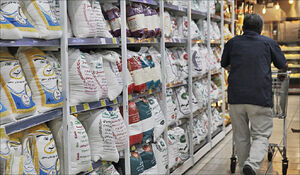  افزایش قیمت برنج ایرانی در بازار