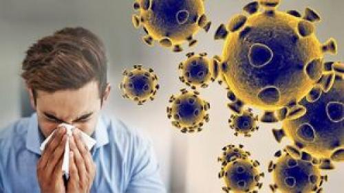 آنچه که باید در مورد ویروس آنفلوانزا بدانیم