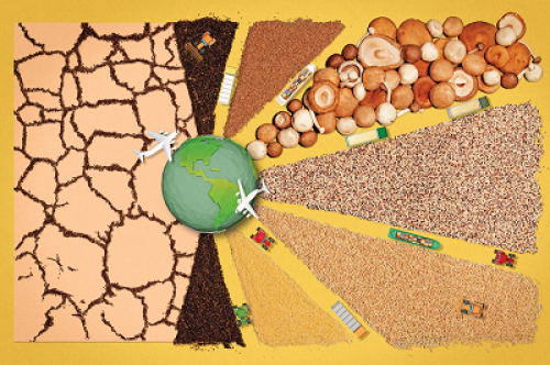  راه حل بحران جهانی غذا؛ غذای بیشتری نیست