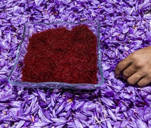 نخستین محموله بزرگ‌ترین قرارداد تجاری زعفران جهان به قطر ارسال شد