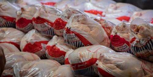 معدوم سازی تخم مرغ برای افزایش قیمت مرغ 