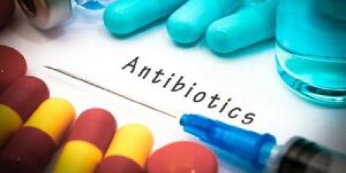 کمبود «آنتی بیوتیک» هفته آینده رفع می‌شود