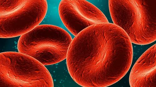  گلبول‌های قرمز، سلاح جدیدی برای کشتن باکتری‌ها
