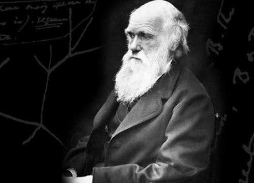  فیلم/ سرنوشت تلخ مخالفان آمریکایی داروین
