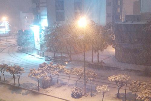  فیلم/ بارش برف پاییزی در اردبیل