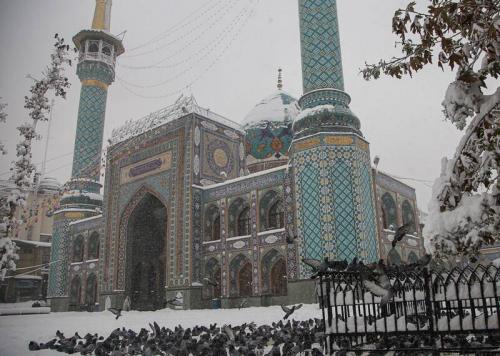  فیلم/ بارش زیبای برف در امامزاده صالح(ع)