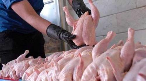  فیلم/ آخرین جزئیات از قیمت مرغ در کشتارگاه