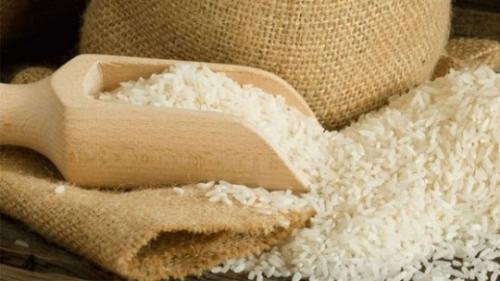 قیمت برنج‌های پرمحصول مازندران